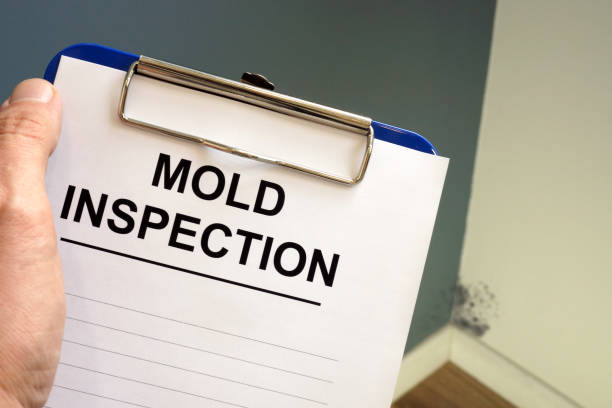 Best Mold Removal for HVAC Installations  in Pottsville, AR